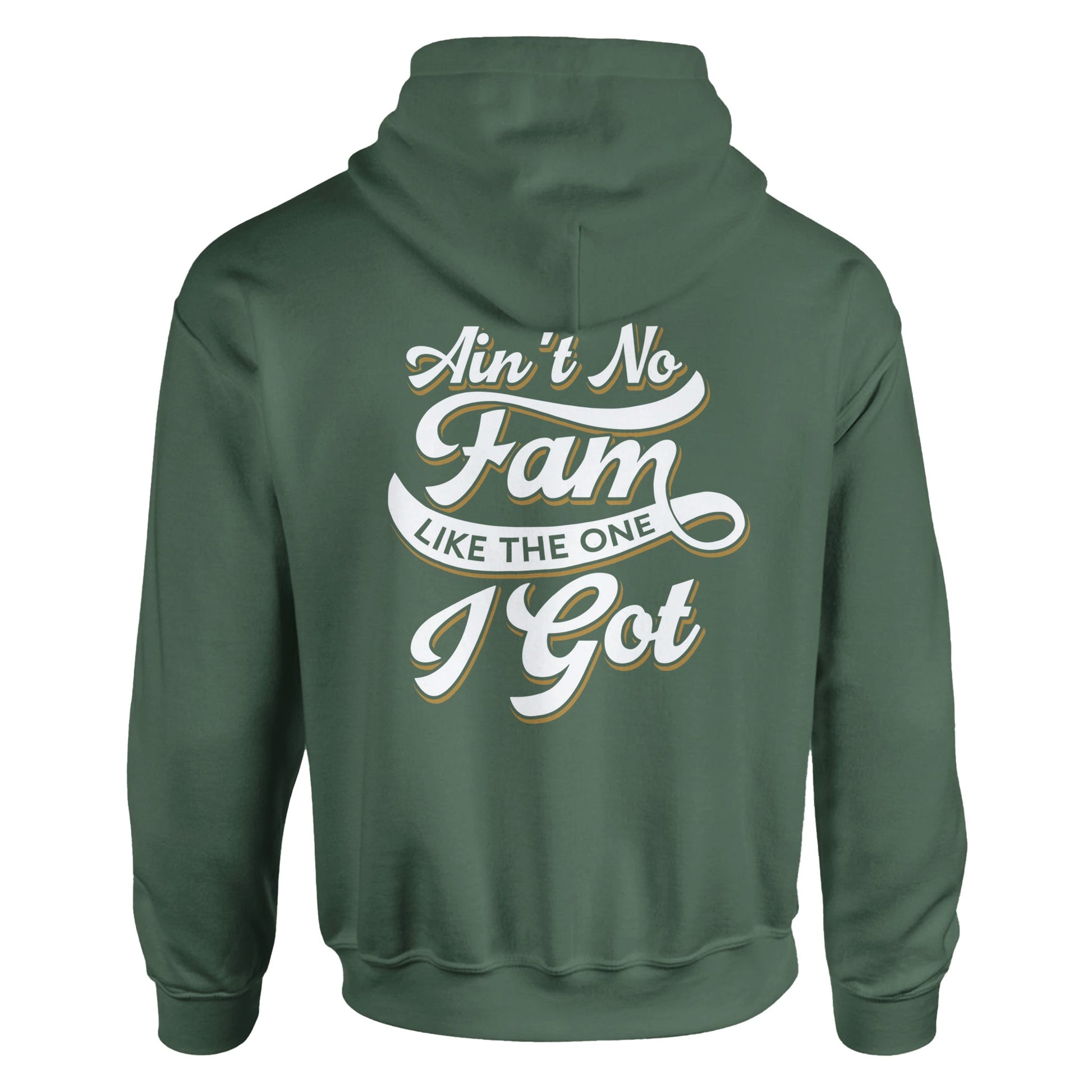 Ain't No Family Typography Vintage Graphic Hoodies | Kinship Crafters