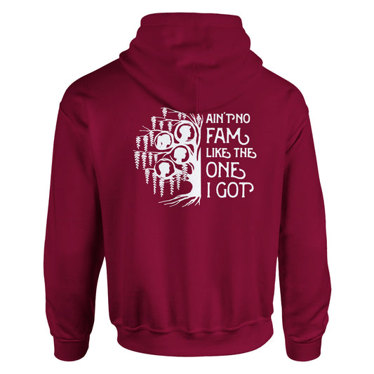 Ain't No Fam Vintage Graphic Hoodies | Kinship Crafters