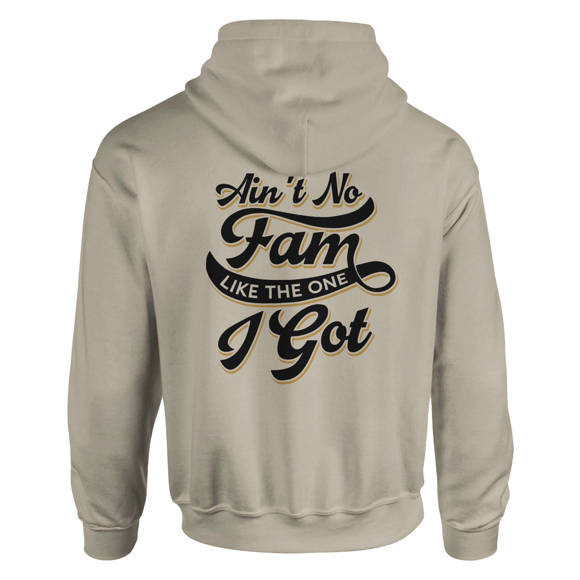 Ain't No Family Typography Vintage Graphic Hoodies | Kinship Crafters